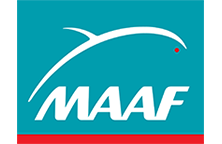 logo maaf